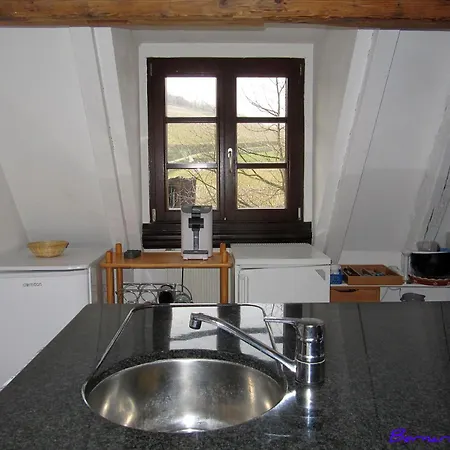 2 Quiet, Spacious, Comfortable, At The Foot Of The Vosges And Vineyards, South, * Ammerschwihr