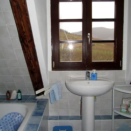 2 Quiet, Spacious, Comfortable, At The Foot Of The Vosges And Vineyards, South,
