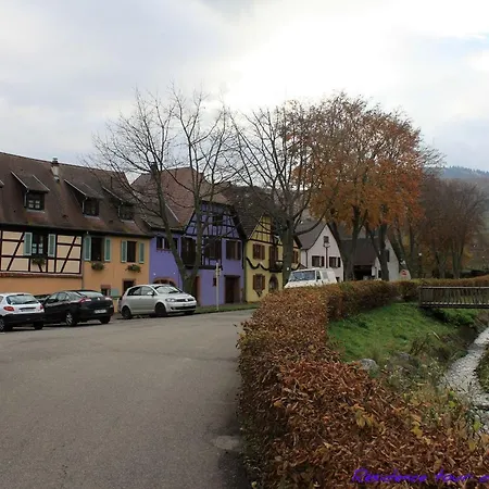 2 Quiet, Spacious, Comfortable, At The Foot Of The Vosges And Vineyards, South, Ammerschwihr