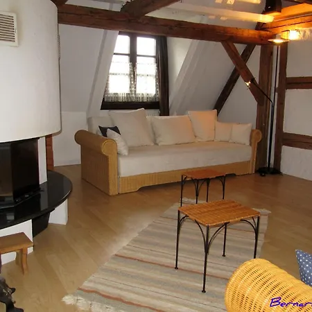 2 Quiet, Spacious, Comfortable, At The Foot Of The Vosges And Vineyards, South, *