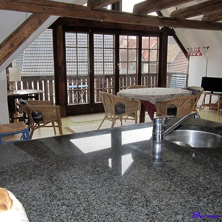 2 Quiet, Spacious, Comfortable, At The Foot Of The Vosges And Vineyards, South, *