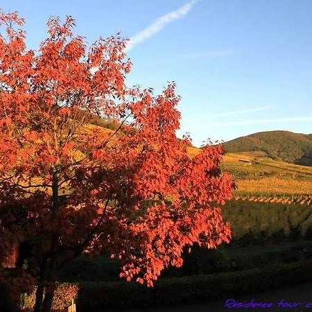 Apartmán 2 Quiet, Spacious, Comfortable, At The Foot Of The Vosges And Vineyards, South, Ammerschwihr